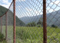 Chain-link fencing unable to keep out wild boars in Trongsa