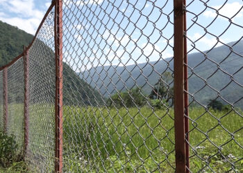 Chain-link fencing unable to keep out wild boars in Trongsa