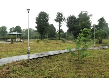 Wellness Medicinal Park brings hopes of economic prosperity