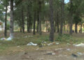 Waste and open defecation issues persist at Dzomlingthang, Punakha