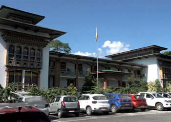 Gelephu Thromde mandates bouncers at entertainment centres