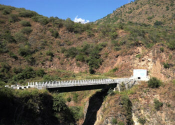 Growing bee colonies at Jamkhar Drang Bridge, Trashi Yangtse cause menace to travellers