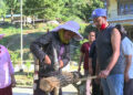 Dagana empowers low-ranked employees through mushroom cultivation training