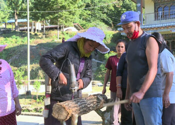 Dagana empowers low-ranked employees through mushroom cultivation training