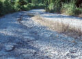 Zalashingzor-Rinchenthang road in Pema Gatshel left in limbo