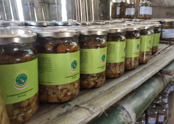 Farmers in Zhemgang embrace non-wood forest resources, a shift from cash crops