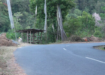 Tsirang farmers face market downturn after vegetable shed dismantling notice