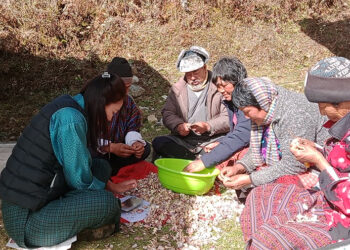 Black garlic production training expected to help farmers of Khatoed Rangzhin Sanam Detshen earn more