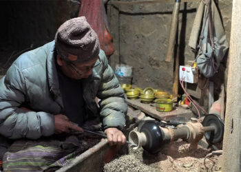 Burr, most sought after raw material for woodturning becoming scarce