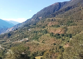 Trongsa district administration proposes turning Samchholing into integrated green tea village