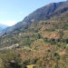 Trongsa district administration proposes turning Samchholing into integrated green tea village