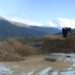 Four Gewogs in Punakha see decline in paddy yield, according to local leaders