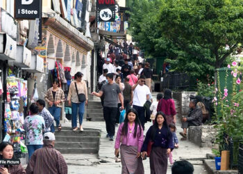 Youth unemployment rate for third quarter 2023 at 15.9 per cent