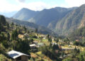 Trashigang’s Zordung Samtenling Community Forest: a boon for community livelihoods
