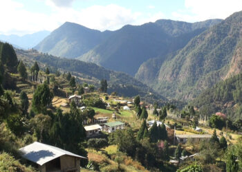 Trashigang’s Zordung Samtenling Community Forest: a boon for community livelihoods