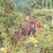 Eco-trail expected to boost tourism in Monggar