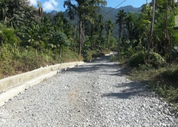 People of Tenzinwama and Satsaloo await completion of paved farm road
