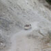 Portion of Kangpar GC road in need of improvement