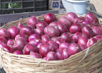 Onion prices double following India’s export ban