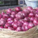 Onion prices double following India’s export ban