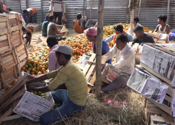 Foreign workers replace Bhutanese at Gelephu orange depot