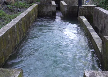 New irrigation channel brings hope but people upset over unbuilt bridge- Sarpang