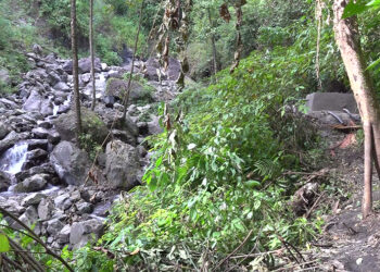 Samrang Gewog in Samdrup Jongkhar to receive reliable drinking water in few weeks’ time