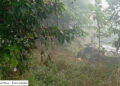 Car crash claims two lives of Bhutanese in Nepal