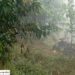 Car crash claims two lives of Bhutanese in Nepal