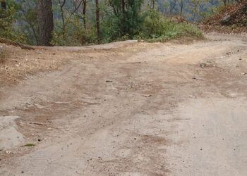 Shermung Gewog residents call for urgent road repairs