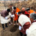 Third phase of Million Fruit Tree Plantation Project kicks off in Paro