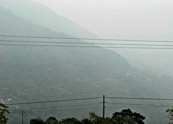 Man under custody for alleged murder