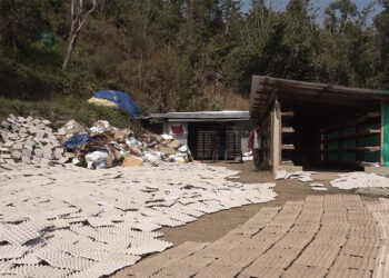Samtse’s lone egg tray plant doing brisk business, managing waste effectively