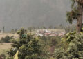 Community-based approach to upscale tea plantations ease human-wildlife conflict in Zhemgang