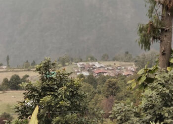 Community-based approach to upscale tea plantations ease human-wildlife conflict in Zhemgang