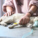 Owners urged to vaccinate cats as feline distemper cases rise in Capital