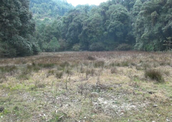 Need for Dara Tsho revival in Tsirang