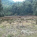 Need for Dara Tsho revival in Tsirang