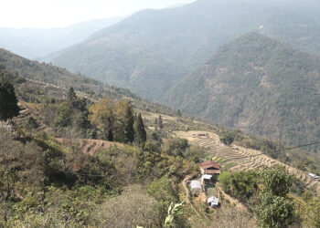 Bongo farmers benefit from electric fences, seek more protected farmland