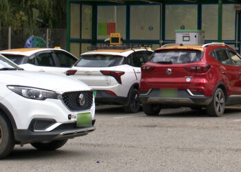 Lack of technicians & repair facilities poses challenge for country’s EV roadmap