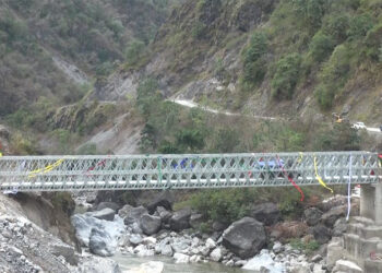 New Kuri-Gongri bridge brings hope and relief to people along Gyalpozhing-Nganglam highway