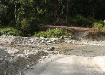 Silambi Gewog residents request motorable bridges for year-round access
