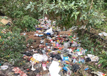 Phuentshogling Thromde fines 60 individuals for illegal waste dumping