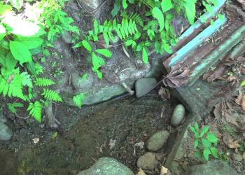 Lower part of Jomotshangkha town continues to face water shortage