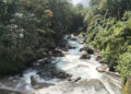 Zhemgang residents call for action as stone quarry’s wastewater flows into Mangde Chhu