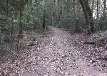 Need for proper care of facilities along Tsirang’s 360-degree track