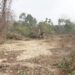 Gelephu Mindfulness City’s ongoing topographical survey clears bushes, delighting residents