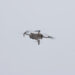 Drone launched for construction site monitoring