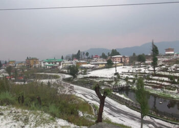 Four injured, roofs blown off, fruit trees and vegetable farms damaged in yesterday’s hailstorm