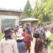 Rhododendron festival goes inclusive, attracts hundreds of visitors